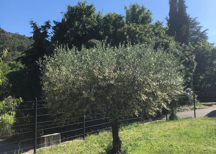 Pleasant House Close To * Anduze